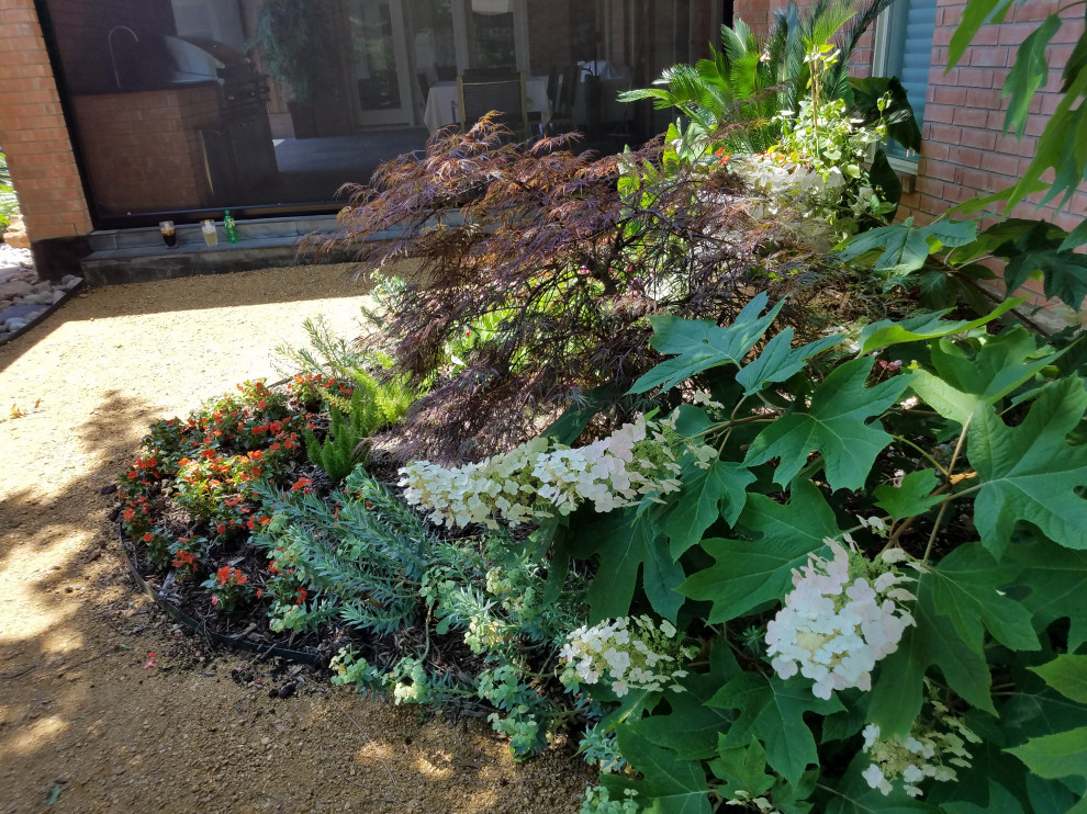 Back Yard Landscape