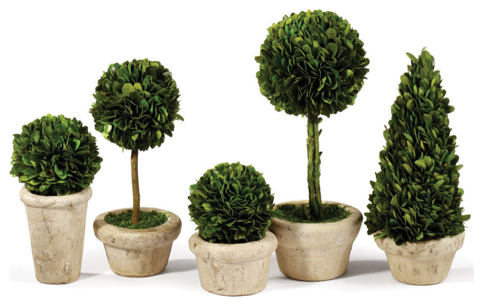 5-Piece Boxwood Topiaries Set With Pots
