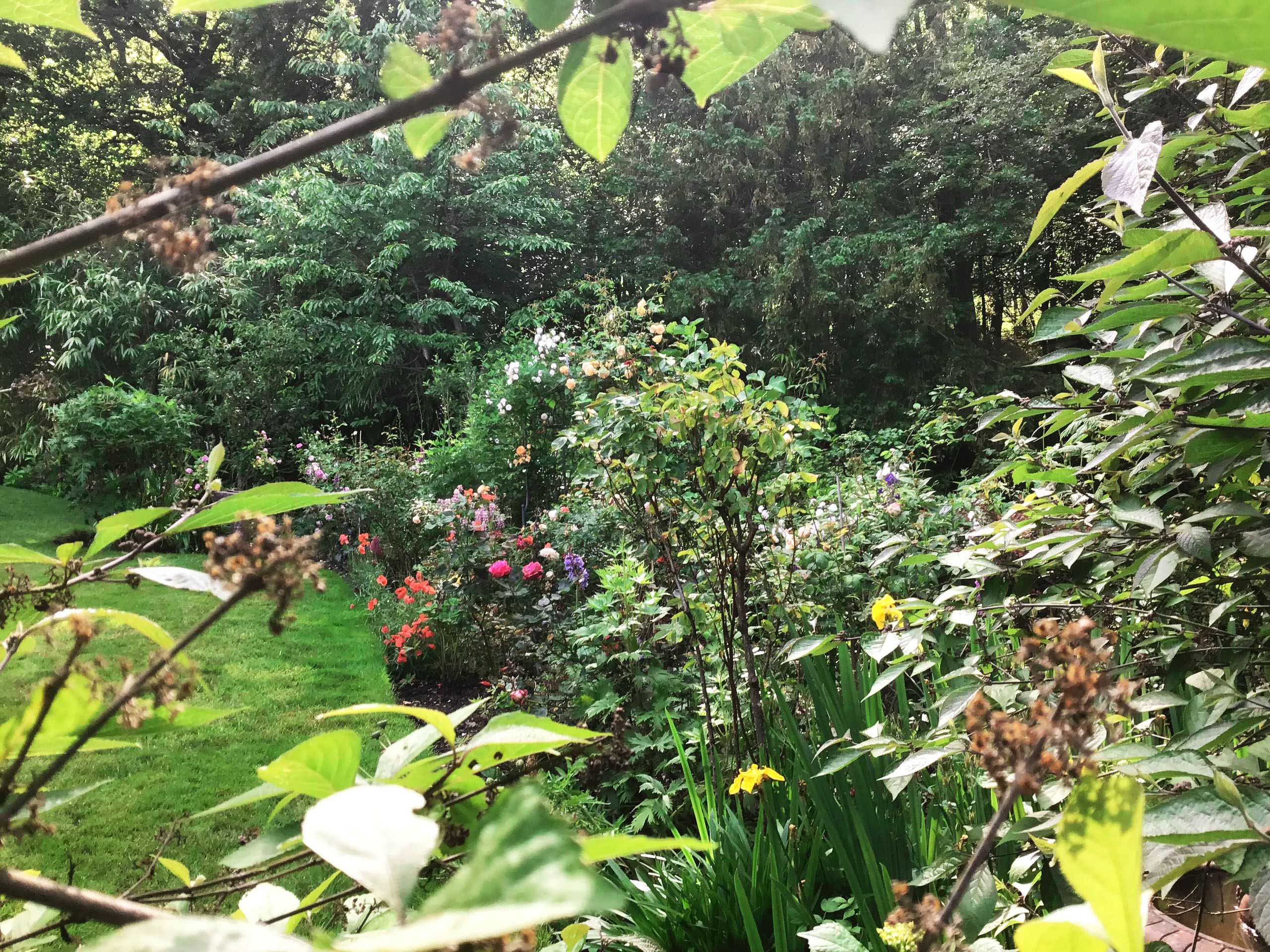 Woodland Edge Border