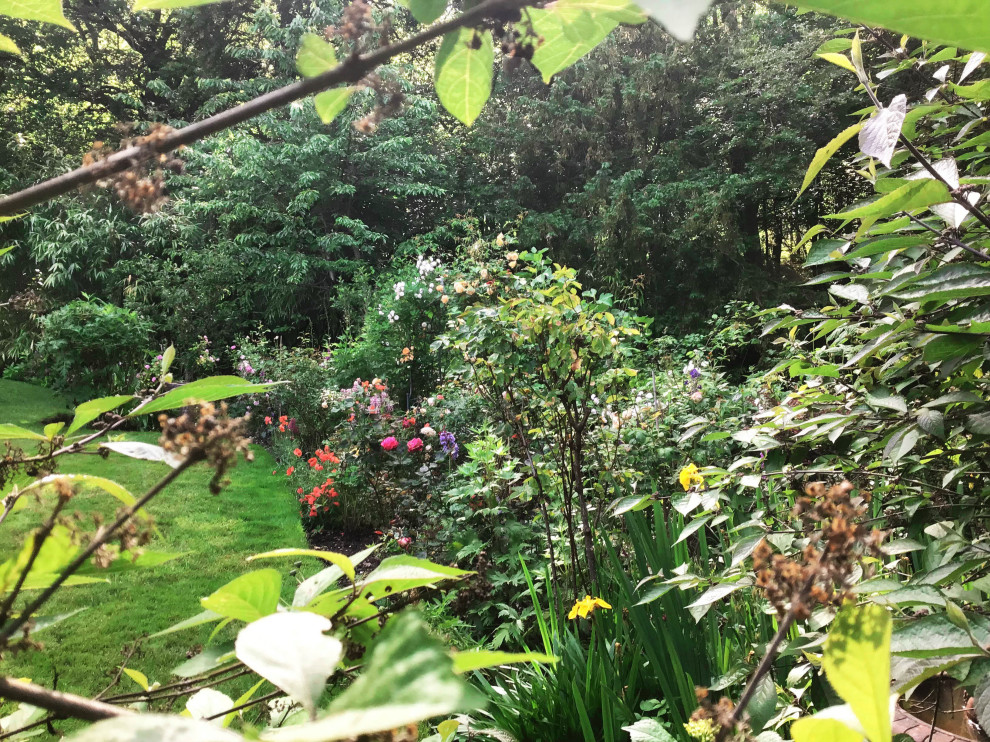 Woodland Edge Border, Surrey