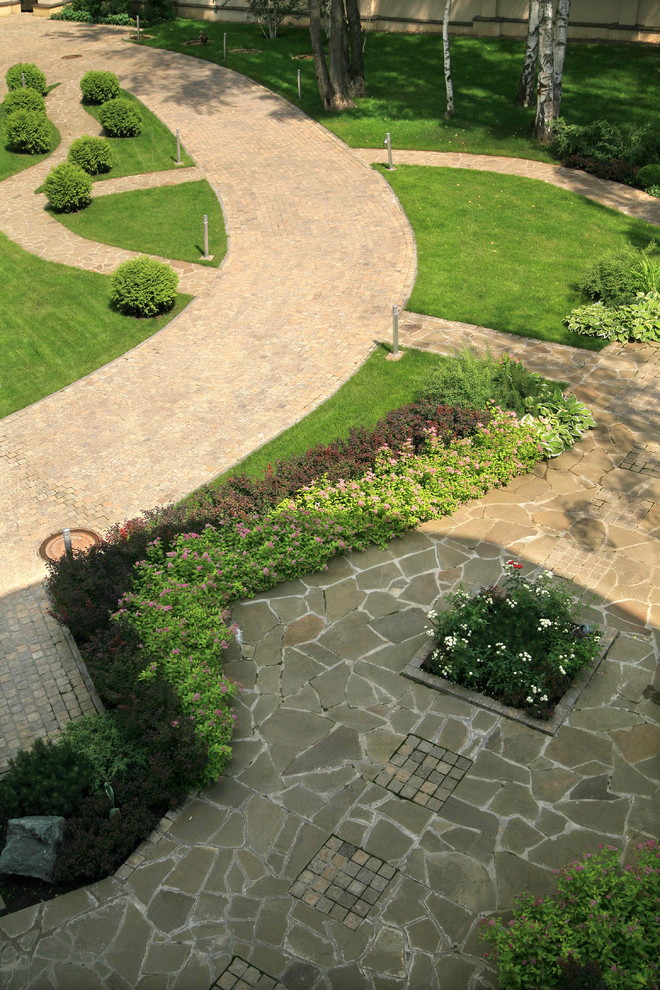 В теневом лесу