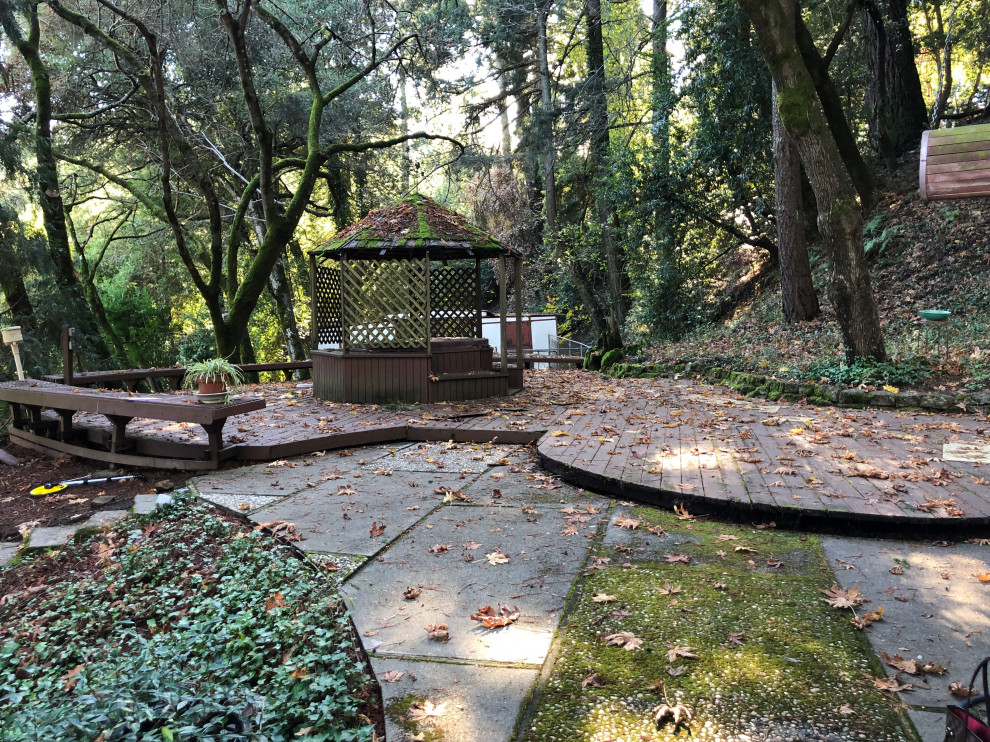 Los Gatos Mountains 5