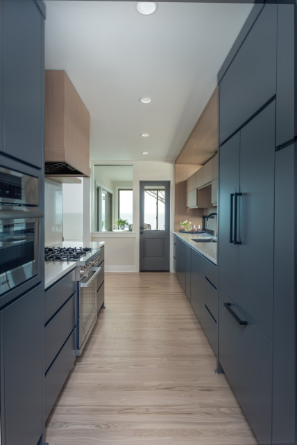 Mid-Century Oasis midcentury-kitchen
