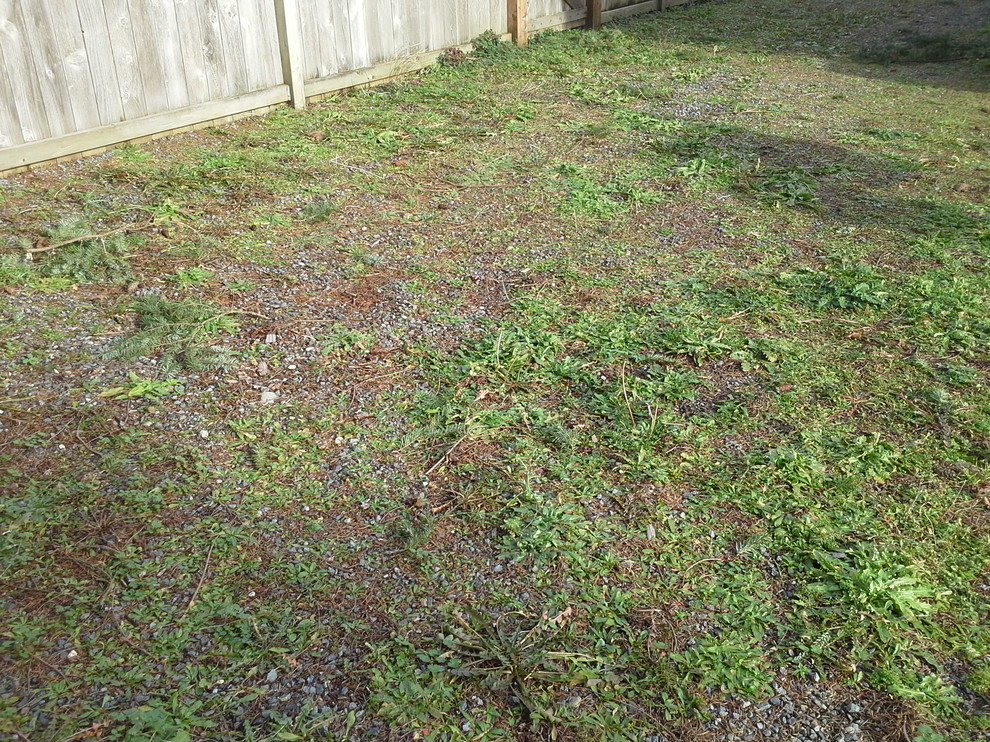 How To Remove Weeds In Gravel Driveway at Sean Norfleet blog