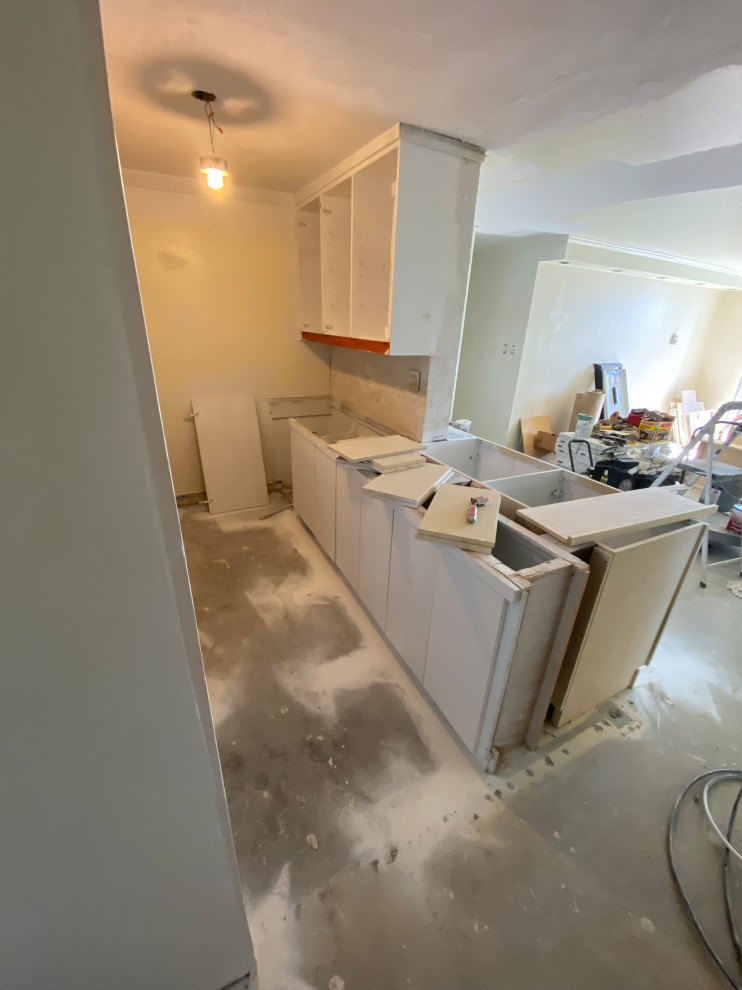 Kitchen and Living Space Remodel