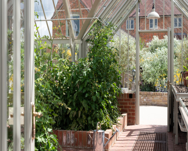 Large traditional detached greenhouse in Hampshire.