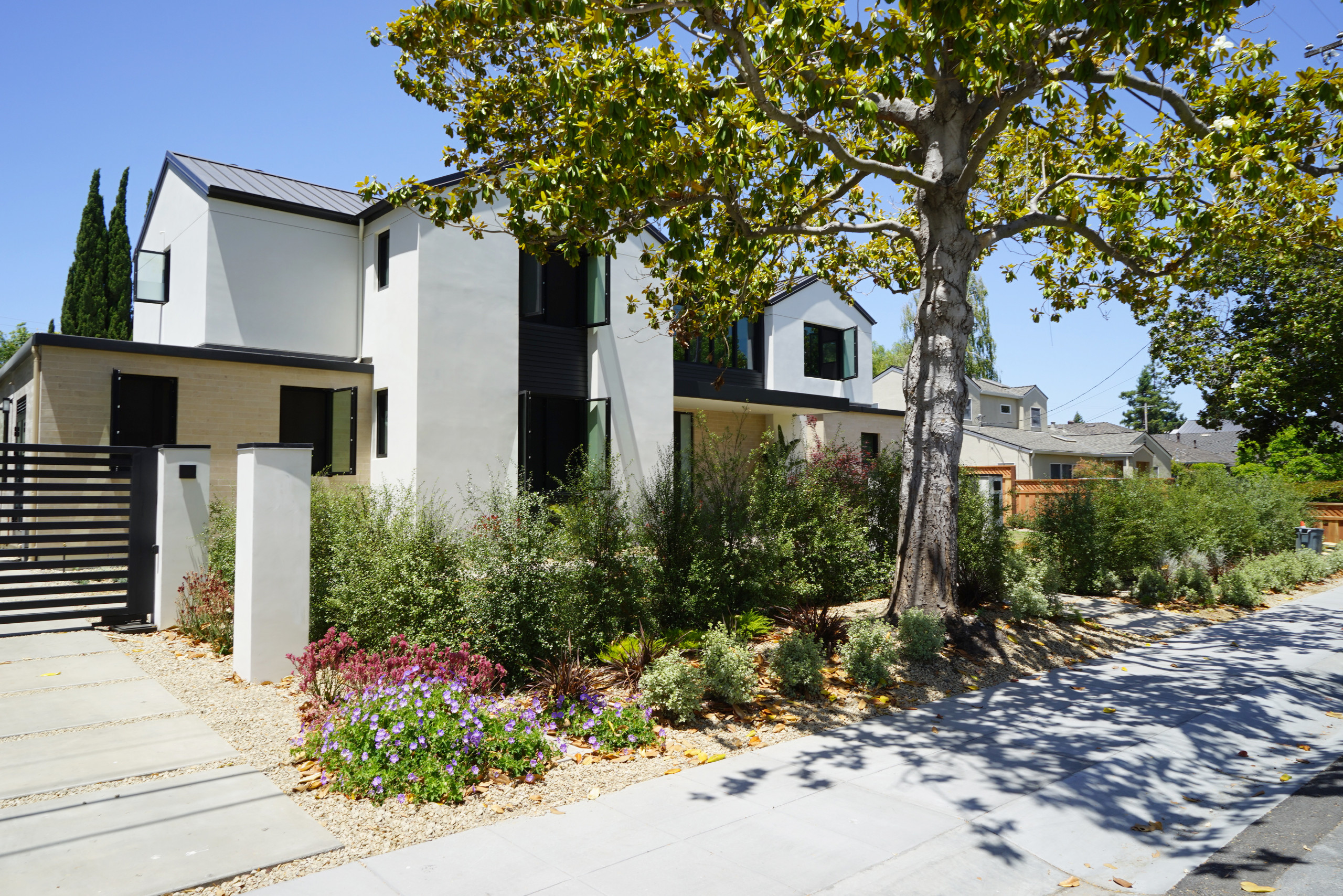 Palo Alto Mediterranean Landscape