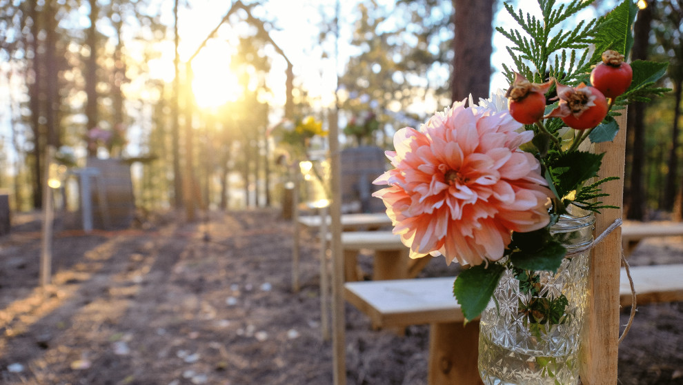 Wedding Design in the Forests of Chelan, WA
