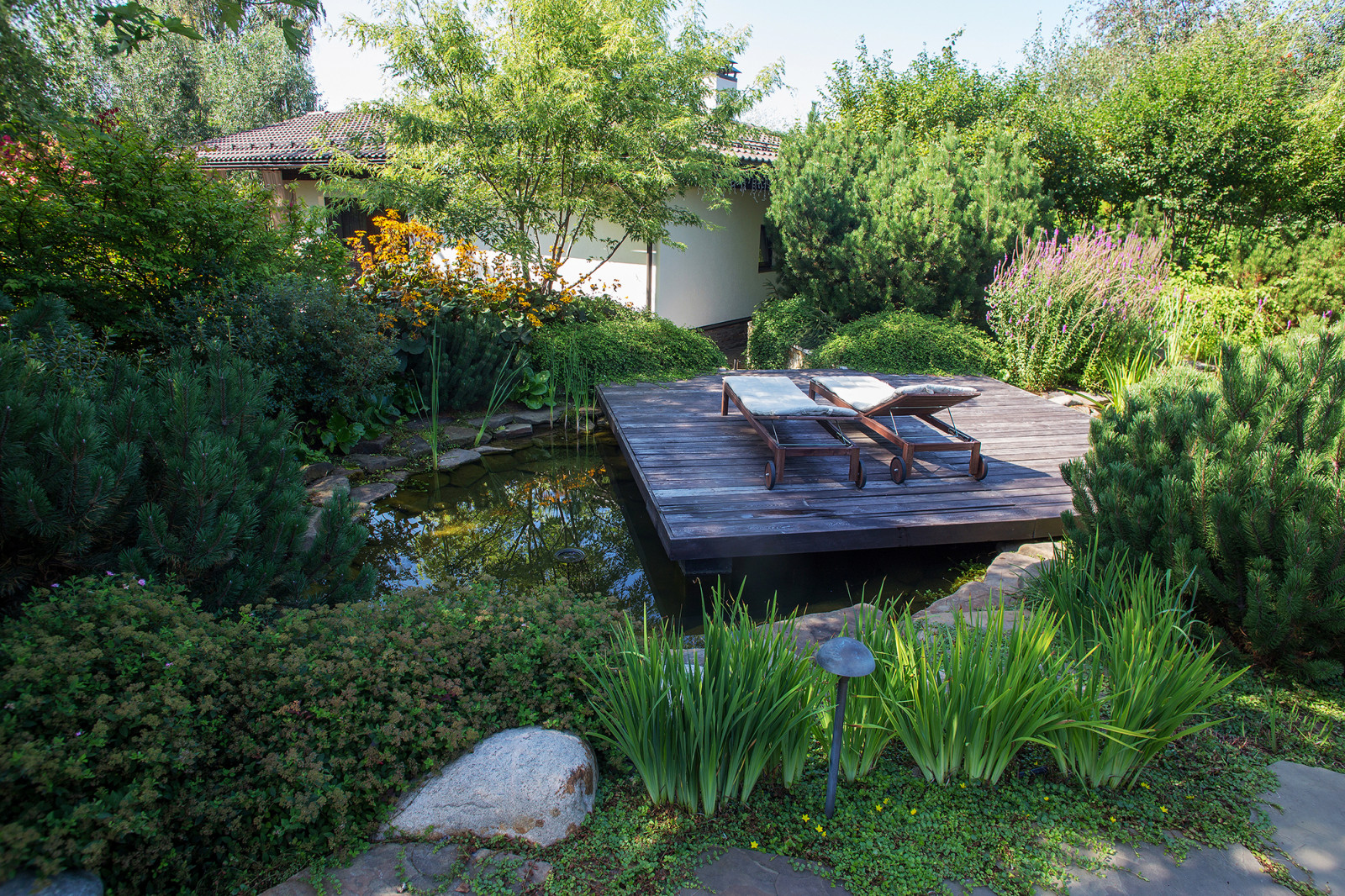 Garden of Elena Astashkina in Moscow Region