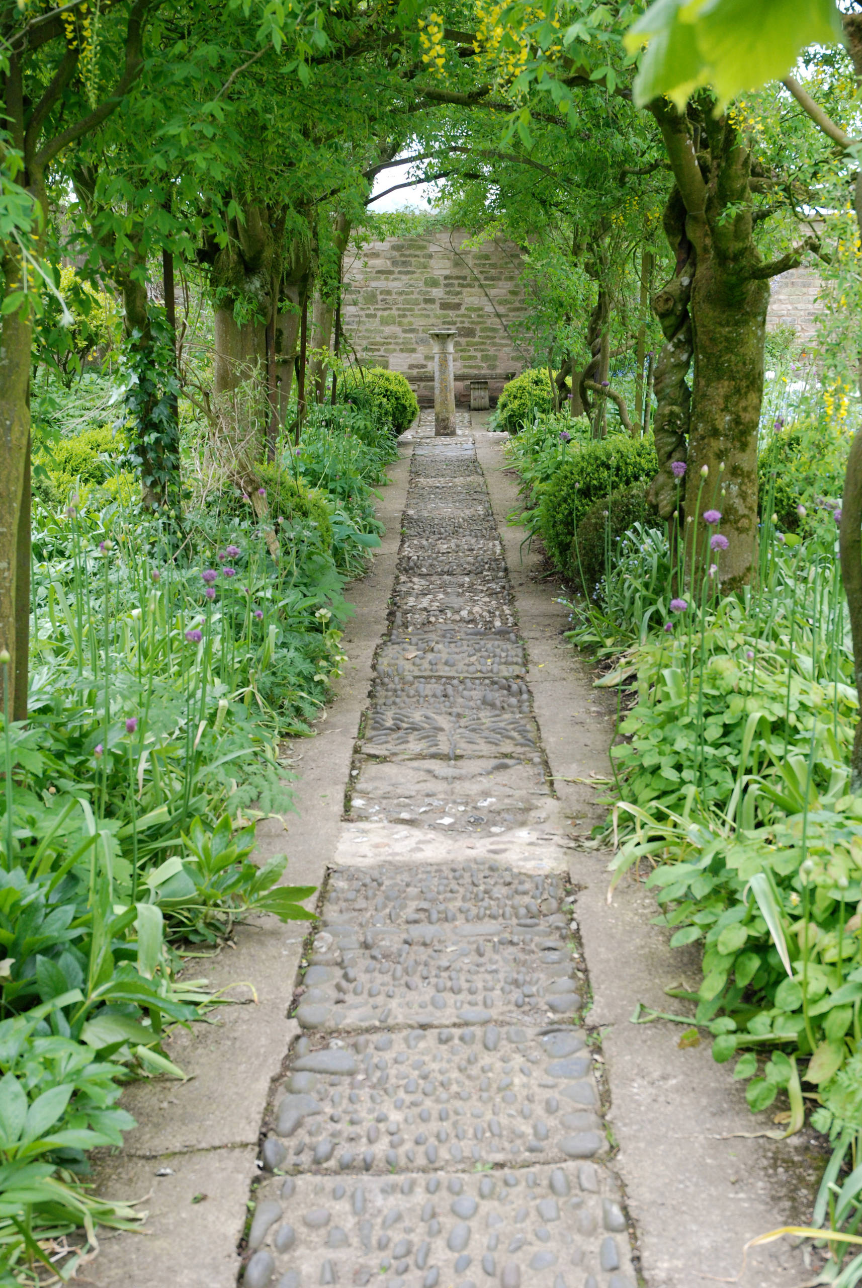 8 Ways a Garden Can Draw You In, image size:1714x2560