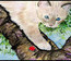 Cat, Birman Indoor or Outdoor Mat 18 x 27 Doormat