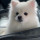 webuser_615121371