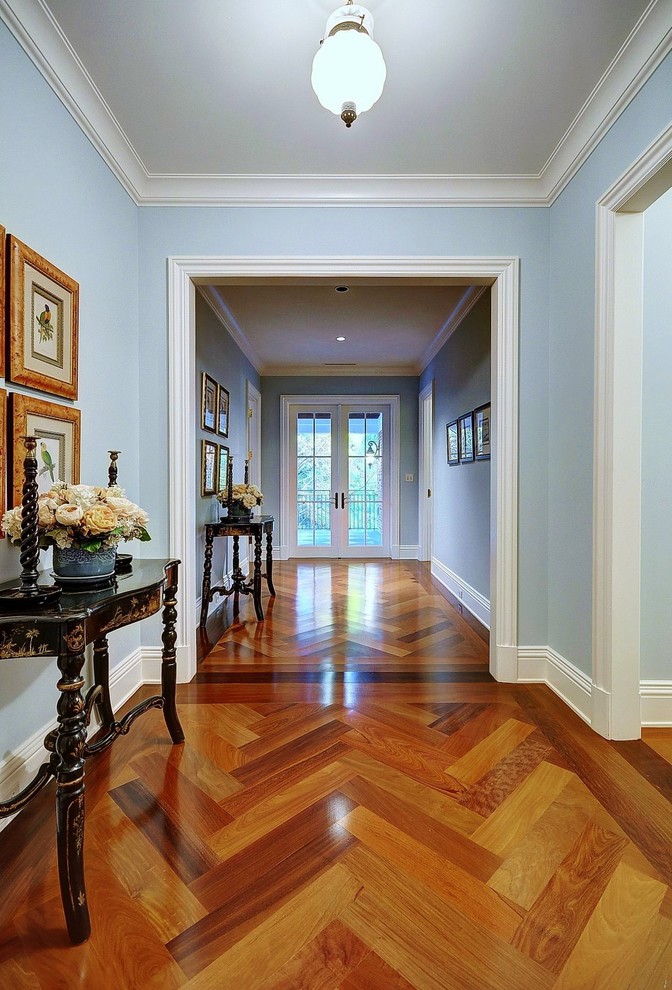 Design ideas for a traditional hallway in Miami with blue walls and medium hardwood floors.