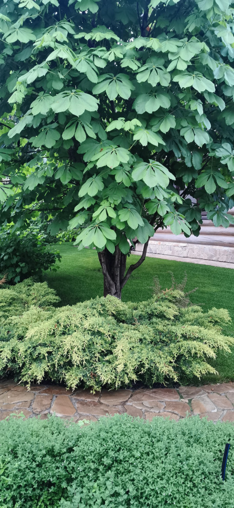 Сказочный грот