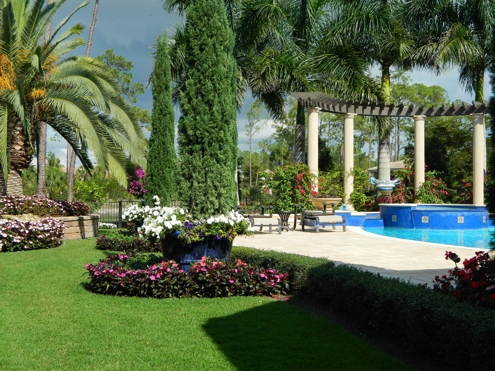 Design ideas for a tropical garden in Tampa.