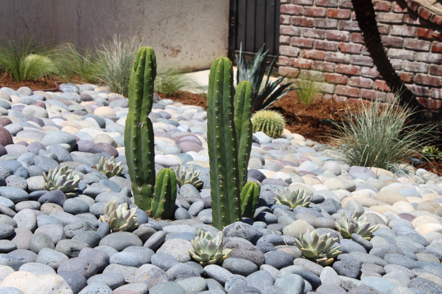 Low-Maintenance Landscape Elements garten