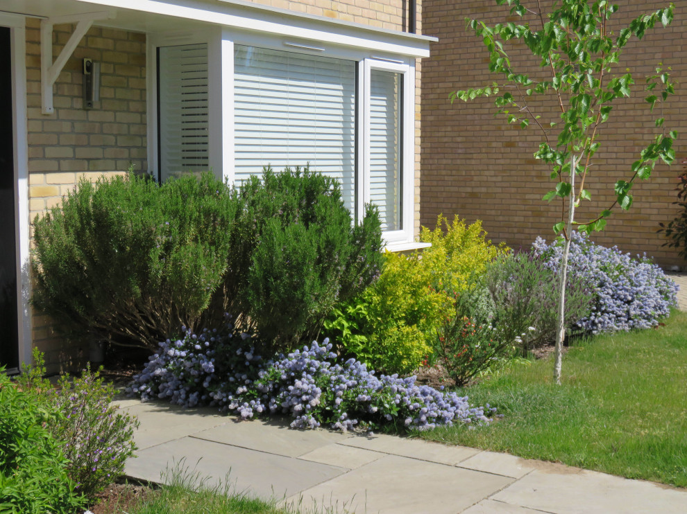 Front Garden, Essex