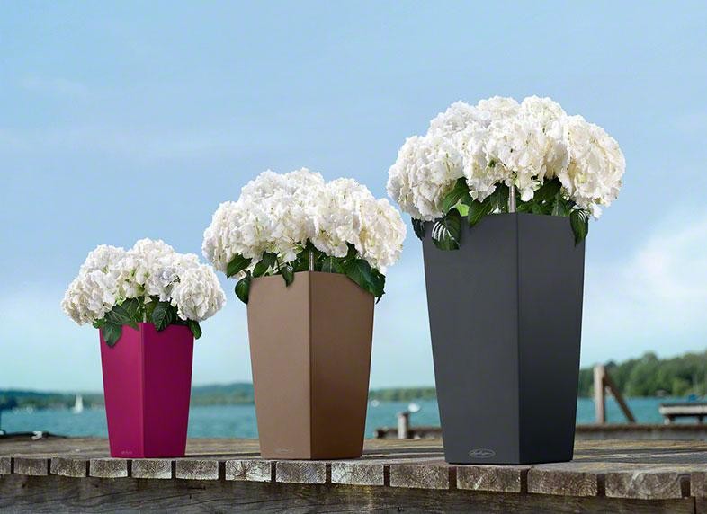 Сочетание дизайна и функциональности