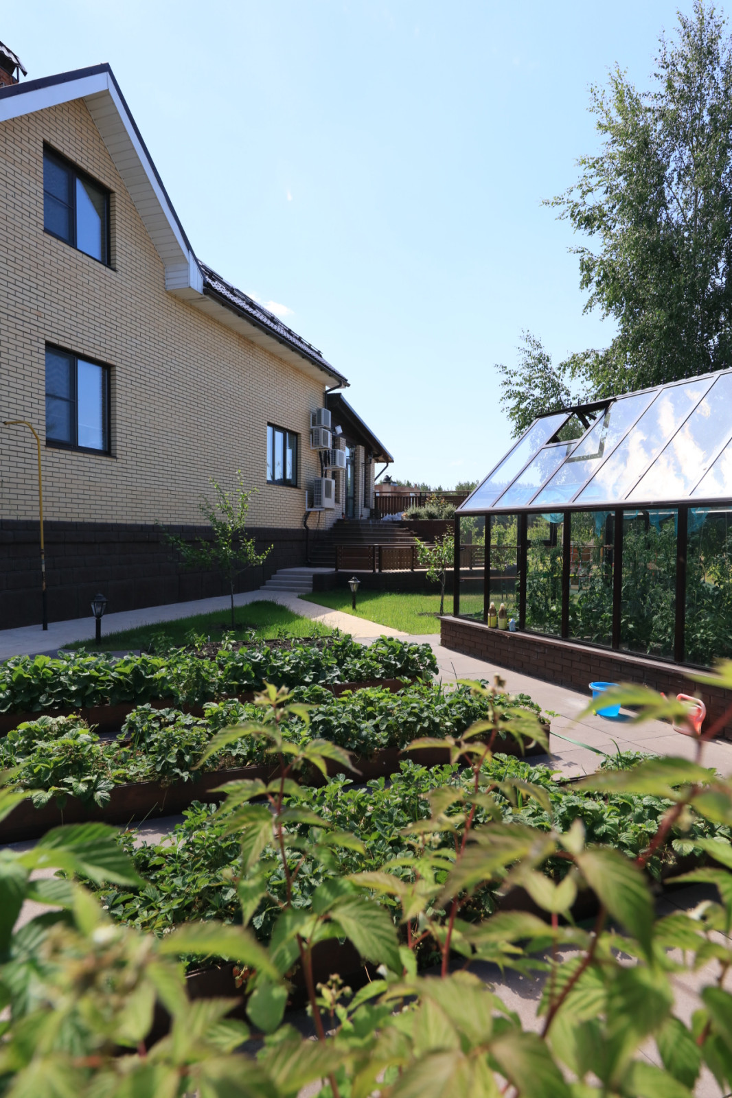 Сад с румянцем