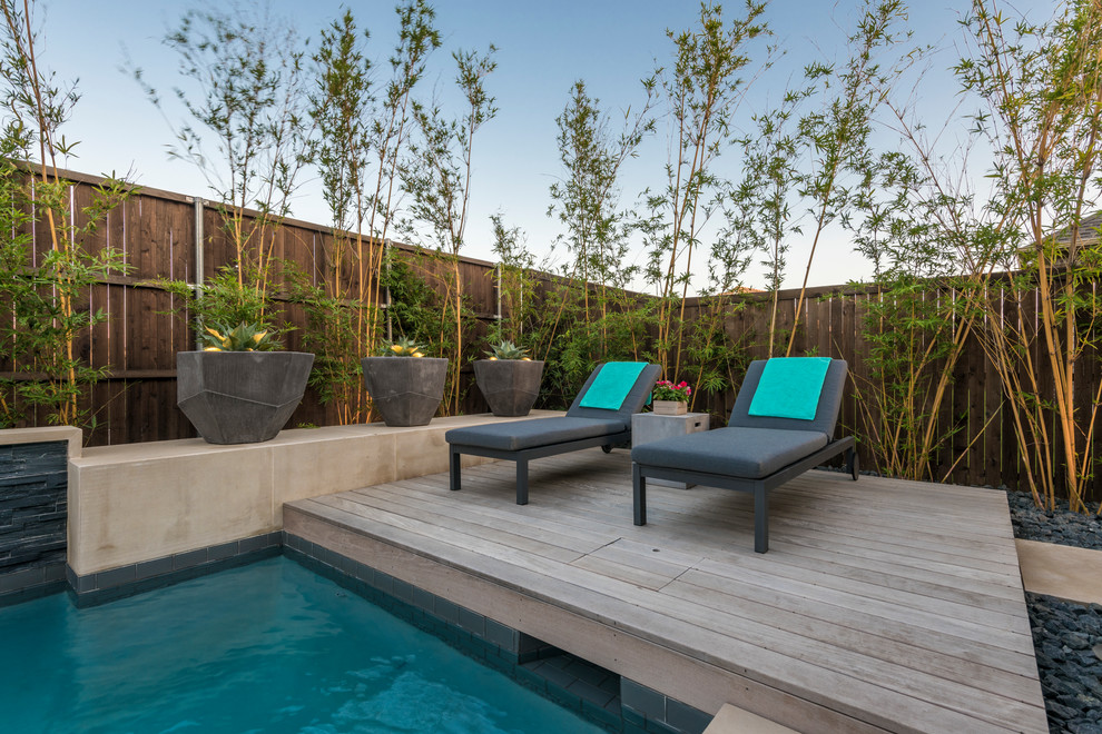 Photo of a small transitional backyard custom-shaped pool in Dallas with concrete slab.
