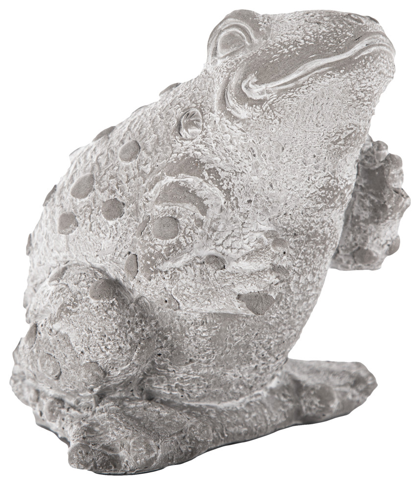 Cement Standing Eastern Rainfrog Figurine Washed Concrete Gray Finish -  Farmhouse - Decorative Objects And Figurines - by Urban Trends Collection |  Houzz