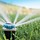 Winnipesaukee Irrigation