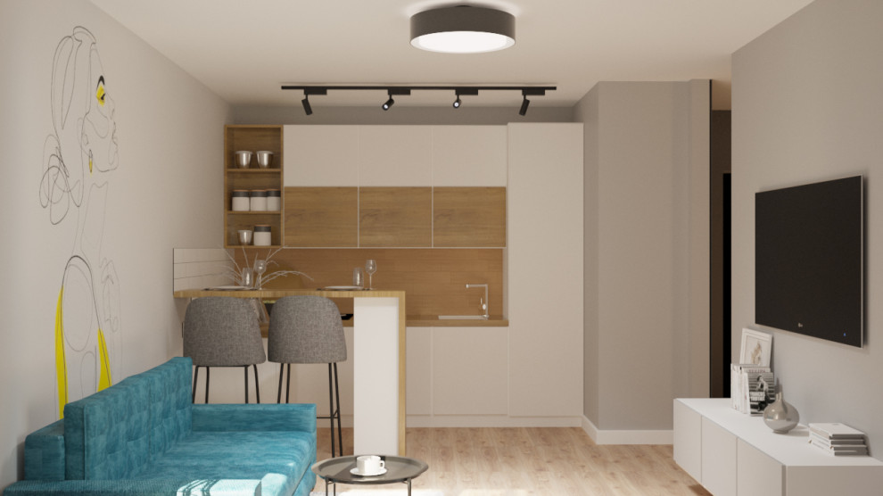 Кухня-гостиная