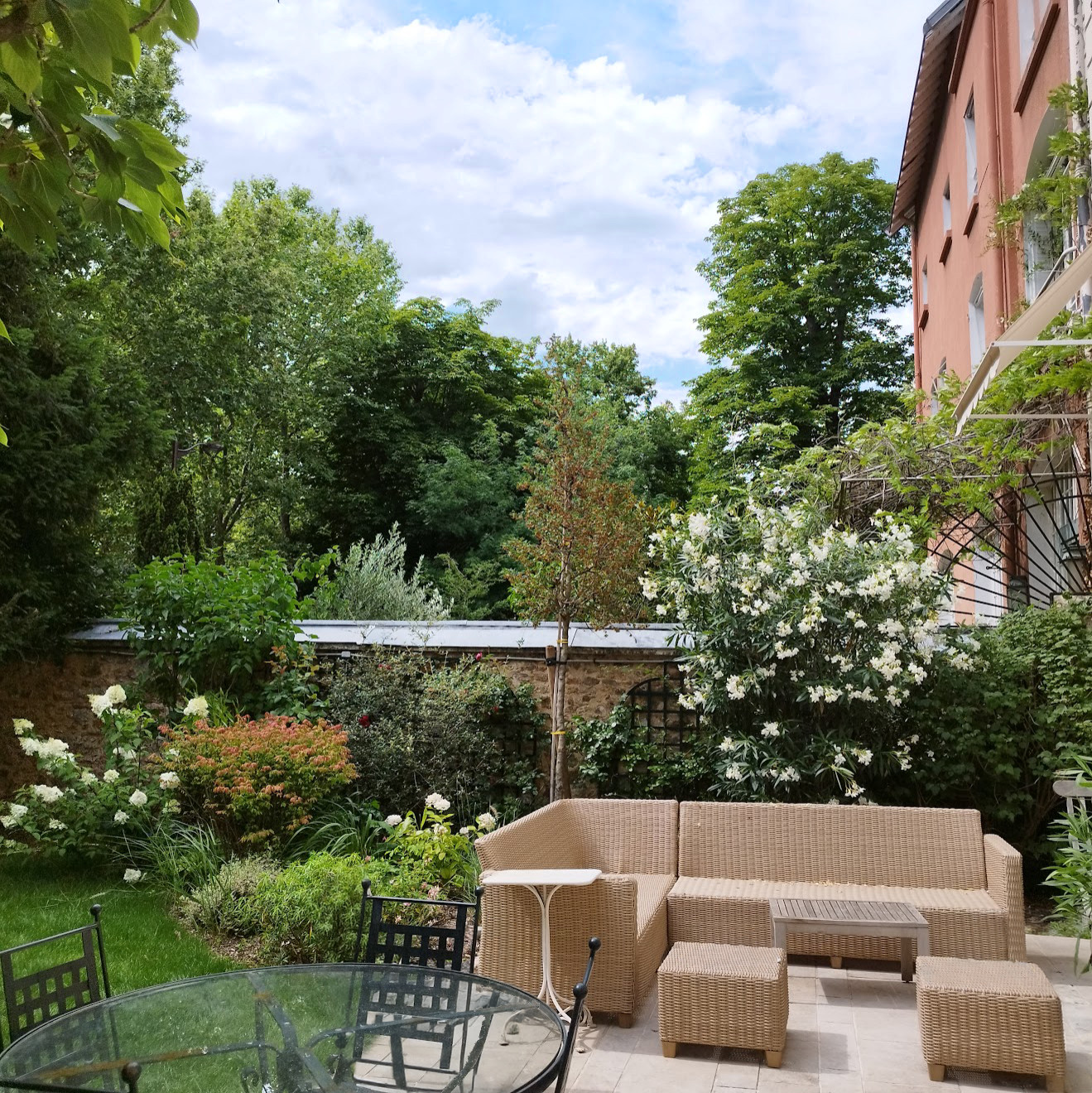 Premier été - les grands sujets donnent l'impression que le jardin est là depuis