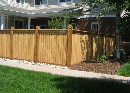 Inspiration for a mid-sized transitional backyard concrete patio remodel in Denver with no cover
