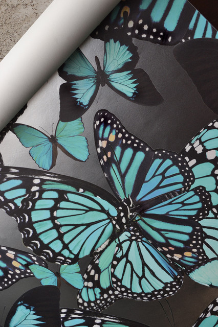 Butterflies Wallpaper, Turquoise, 3 Yards
