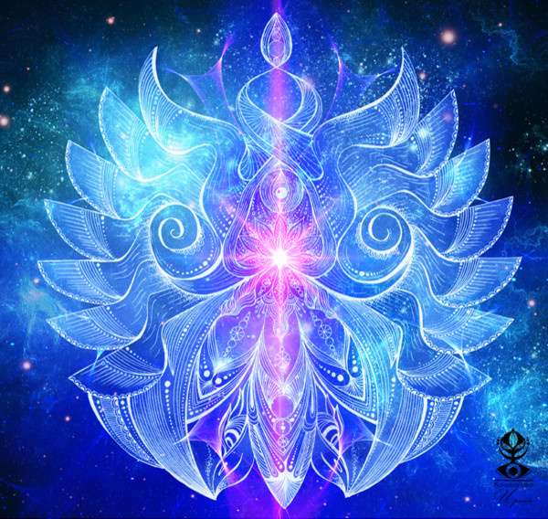 Наблюдатели.