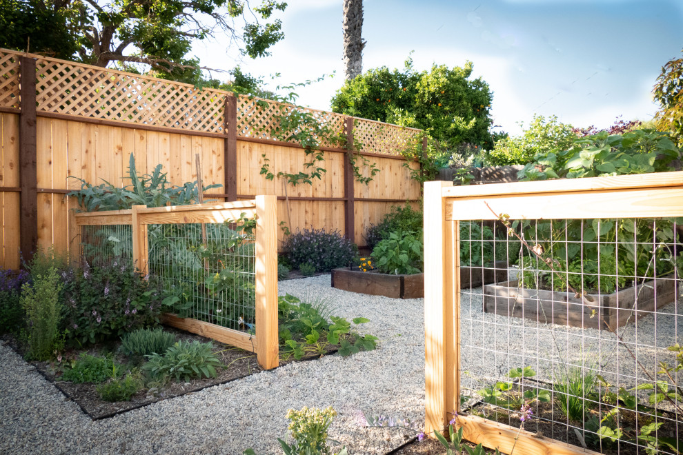 Immagine di un giardino minimalista esposto in pieno sole di medie dimensioni e dietro casa in primavera con ghiaia e recinzione in legno