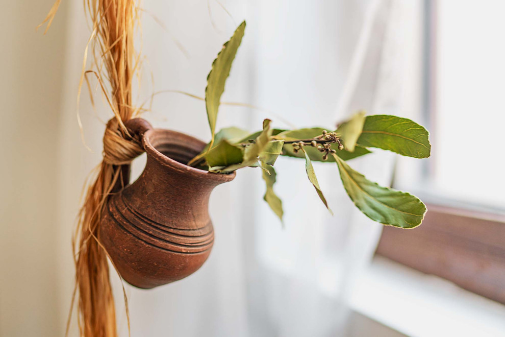 Варна, Ул. Д-р Василаки Пападопулу 10