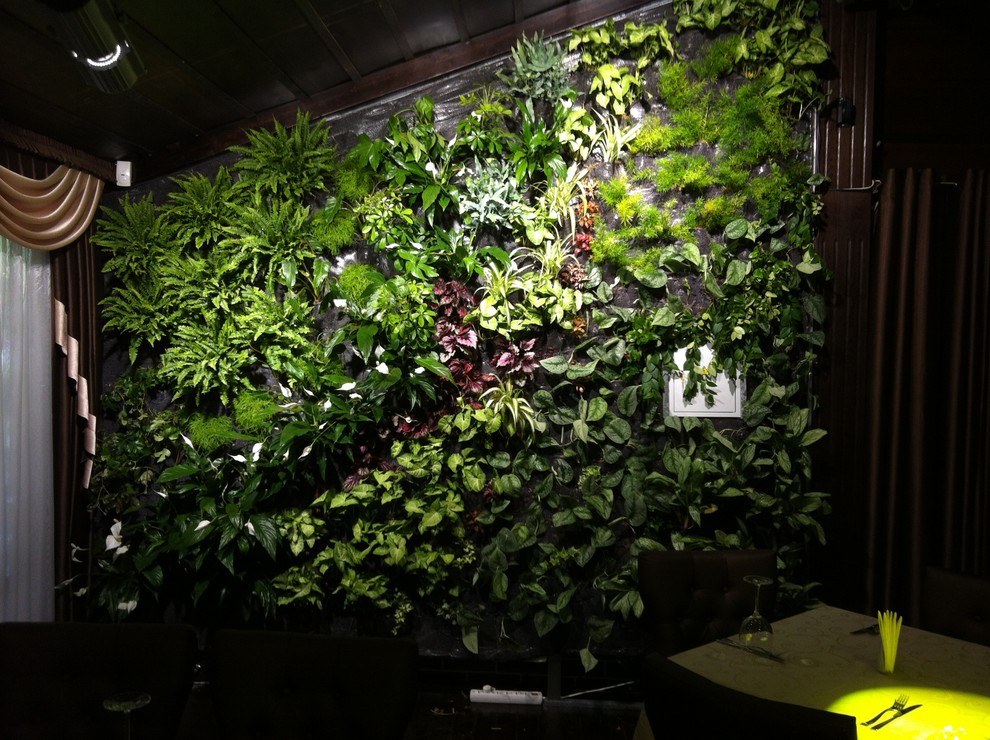 Вертикальные сады