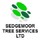 Sedgemoor Tree Surgeons Ltd