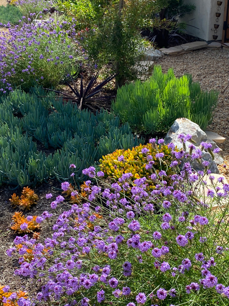 Small mediterranean front xeriscape partial sun garden in San Diego with gravel.