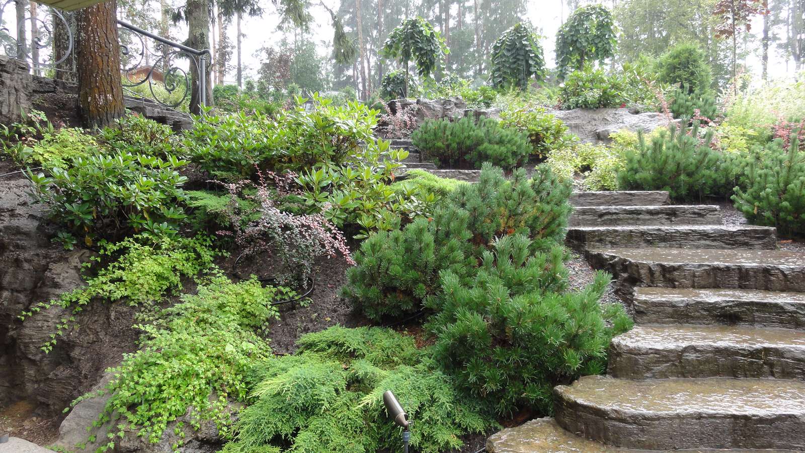 на глиняной горе