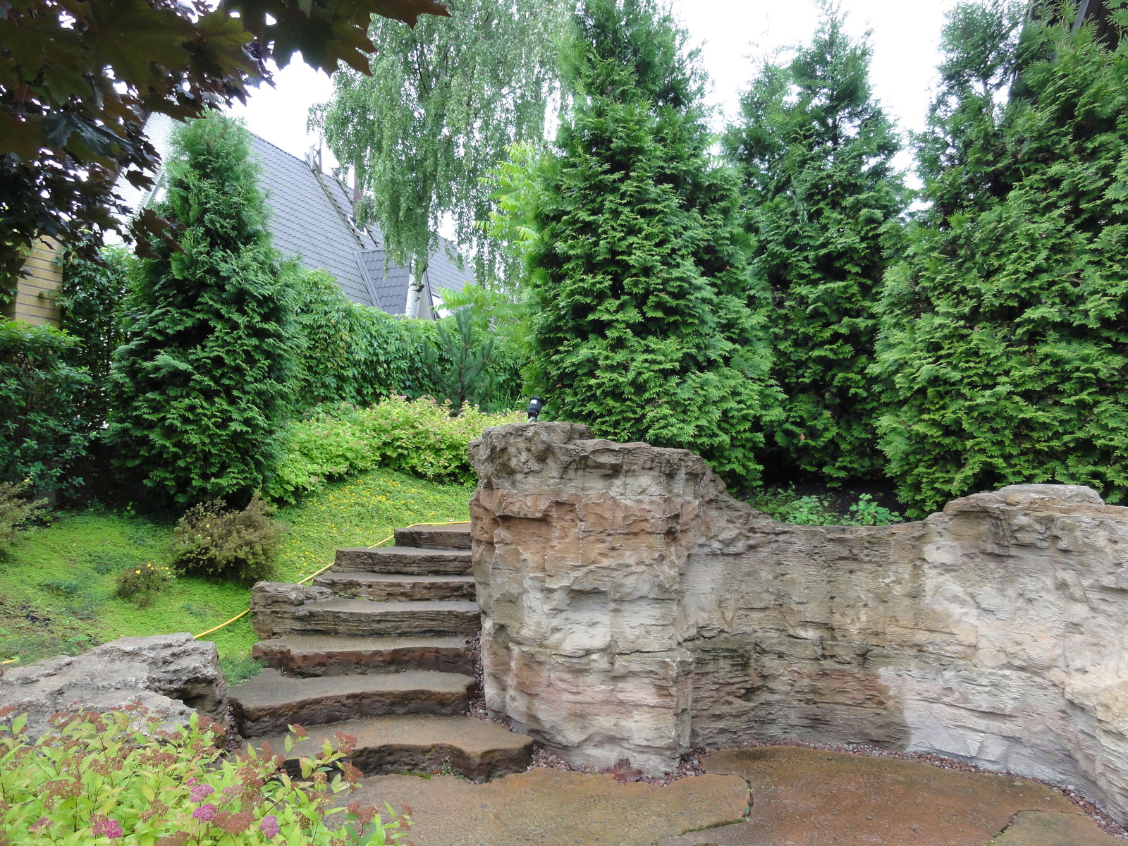 вокруг пруда