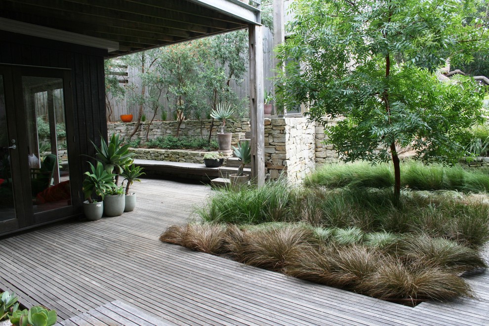 Large beach style front yard shaded xeriscape in Geelong with decking.