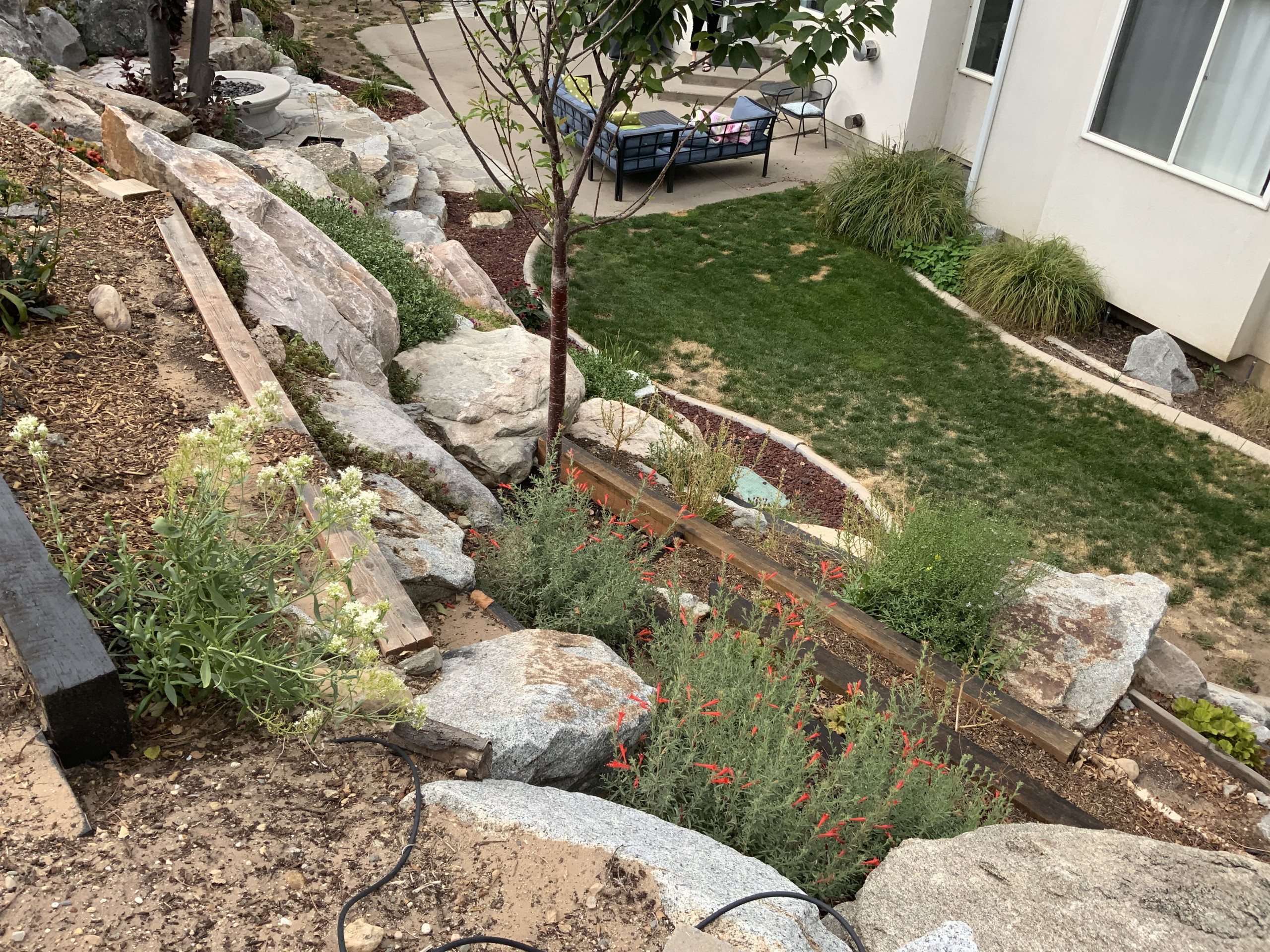 Natural Rock Garden