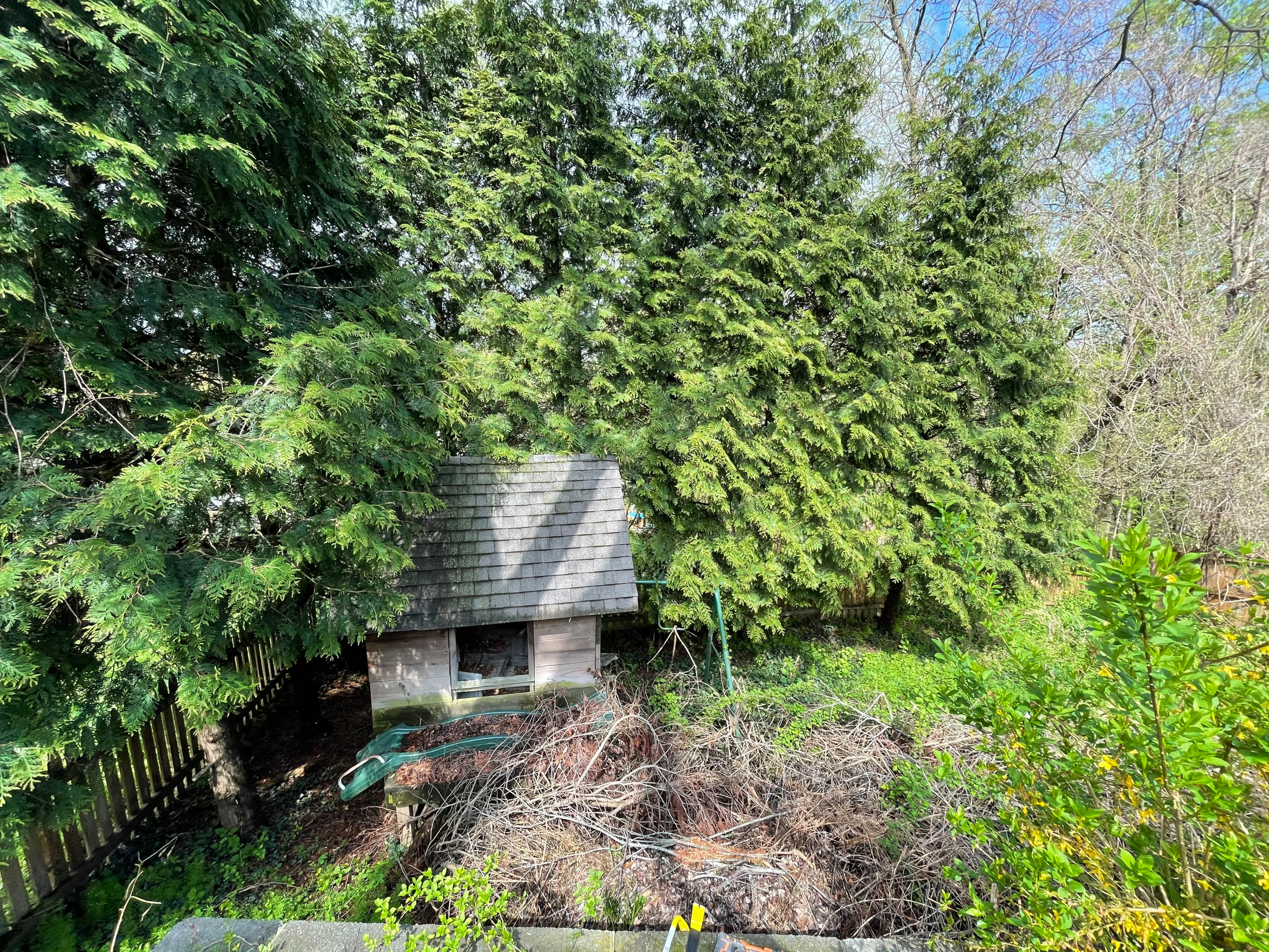 Playground demolition & bushes removal