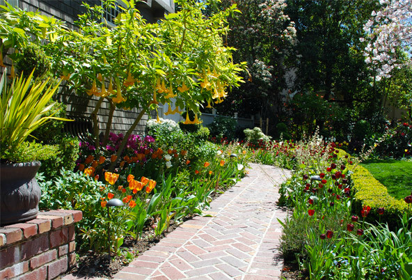 English Tudor Garden Traditional Garden San Francisco by