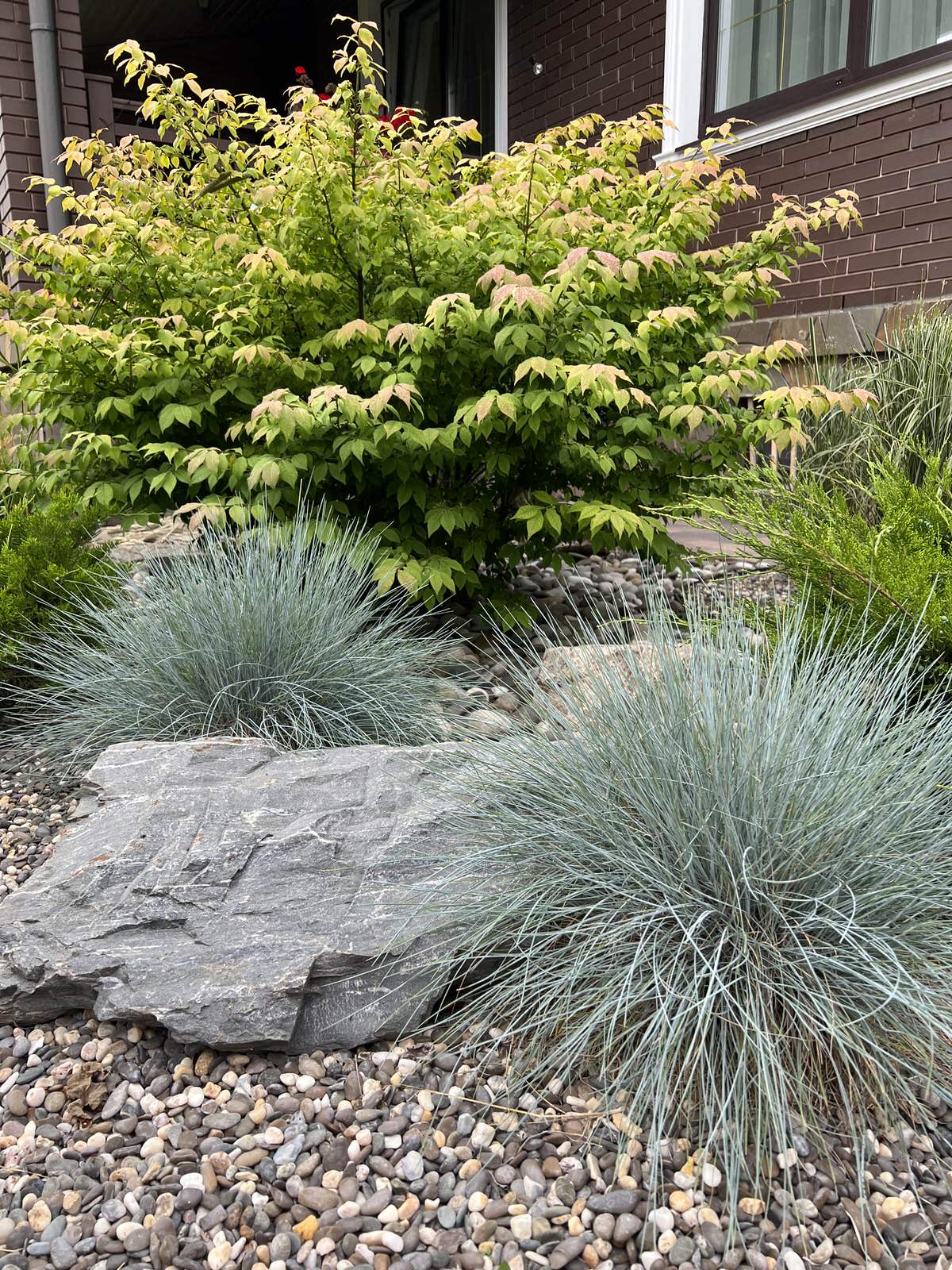 Сад для друга