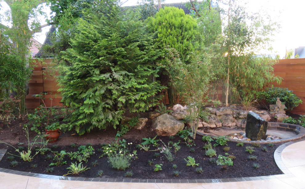 Back Garden, London