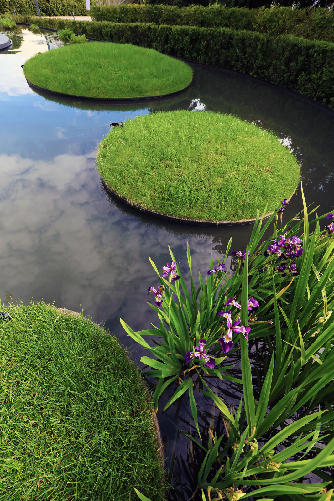 Геометрия природы Moscow Flower Show 2017