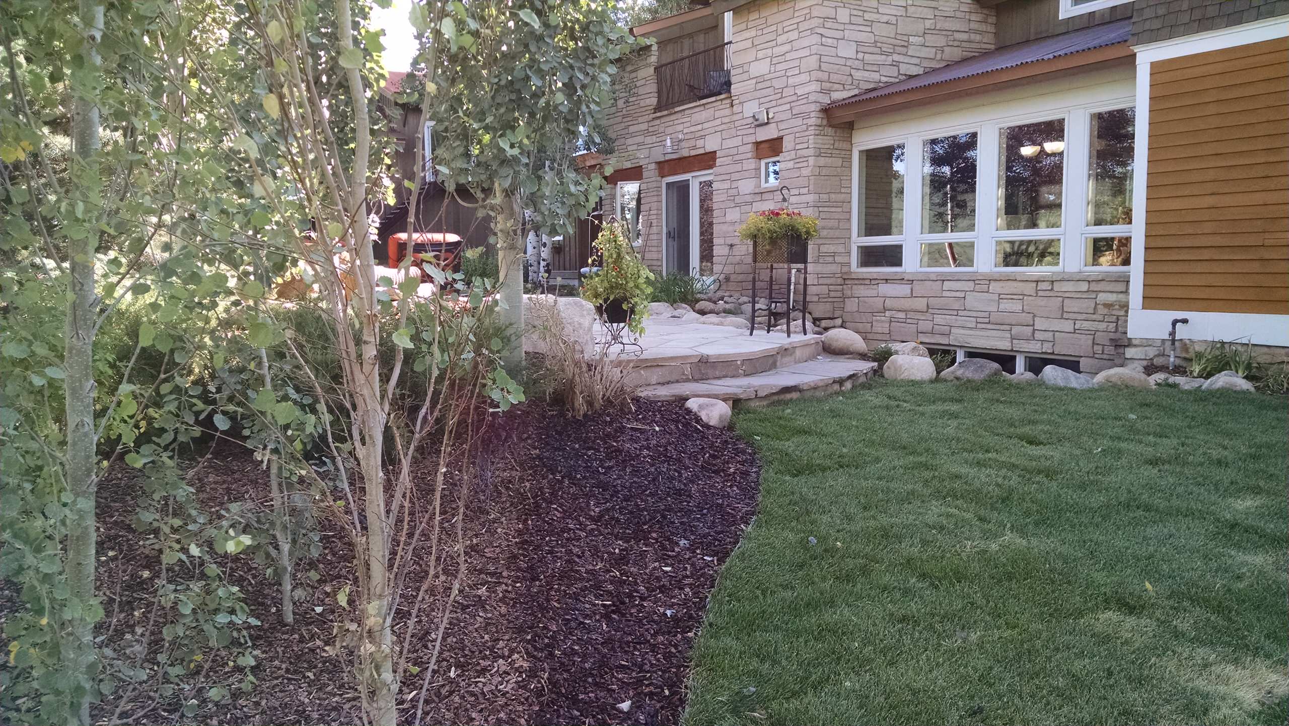 Major redo of a landscape for a quaint home in Steamboat