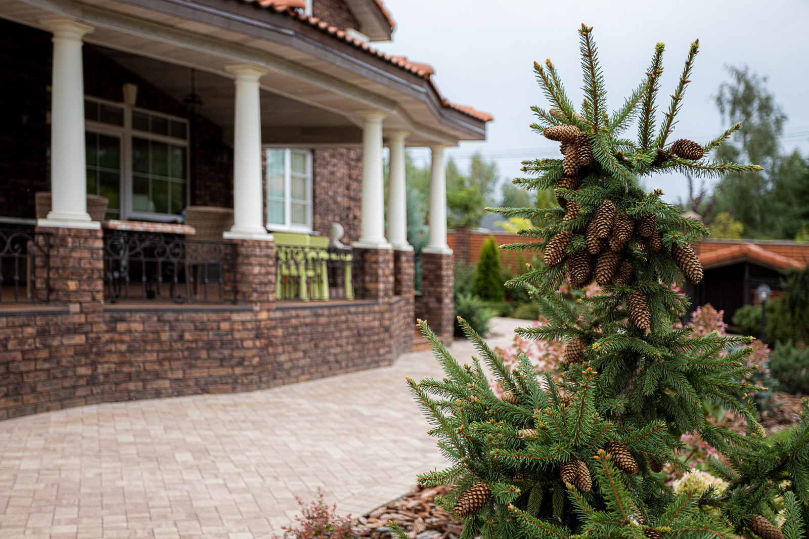 Ландшафтный дизайн. Полина Черных