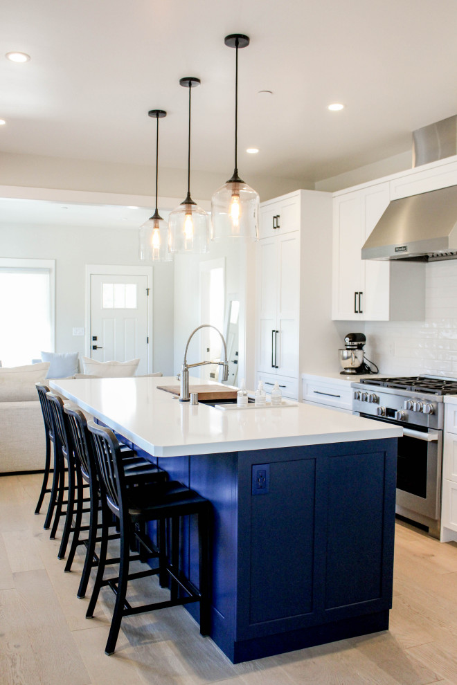 Kitchen - transitional kitchen idea