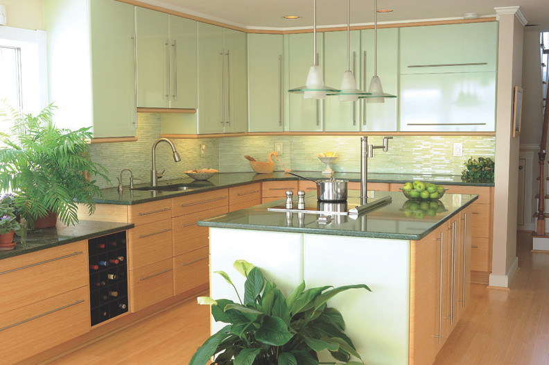 Executive Cabinetry Green Kitchen - Contemporary - Kitchen - Houston - by K&N Sales