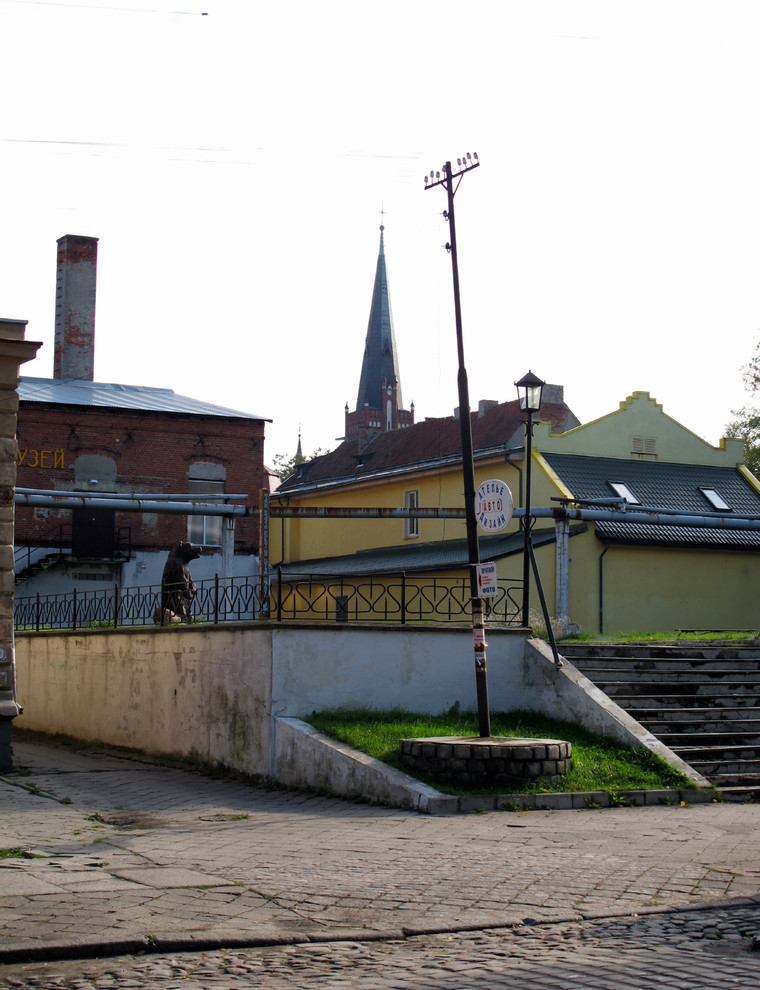 Варианты реновации Музея истории в Черняховске